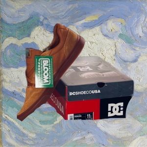 NWT DC Rowlan Shoes for Men